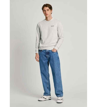 Pepe Jeans Sudadera casual gris