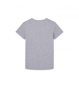 Pepe Jeans Waldo T-shirt S/S grey
