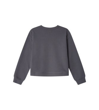 Pepe Jeans Sweater Alanis grijs