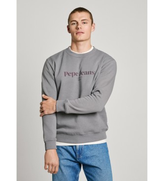 Pepe Jeans Dale Crew Sweatshirt grau