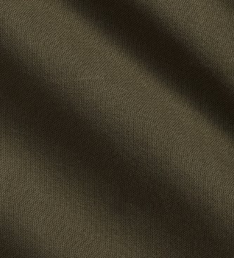 Polo Ralph Lauren Camicia oxford tinta Custom Fit verde