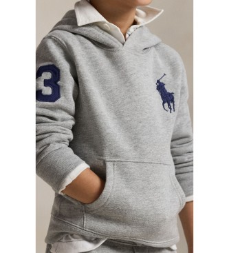 Polo Ralph Lauren Sudadera de felpa con capucha y Big Pony gris