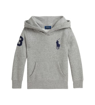 Polo Ralph Lauren Sudadera de felpa con capucha y Big Pony gris