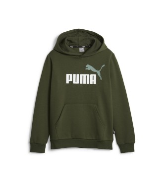 Puma Essentials+ Tweekleurig Groot Logo Hoody groen
