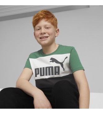 Puma Essential Colour Blocked T-shirt grn, svart