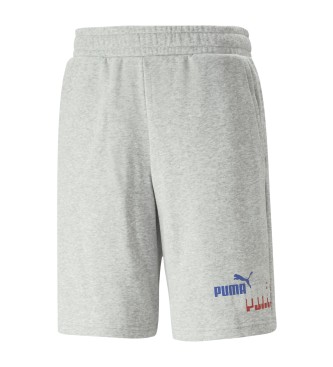 Puma Shorts Essential Logo Power 10 grau