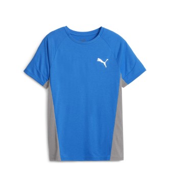 Puma evoSTRIPE T-shirt blauw
