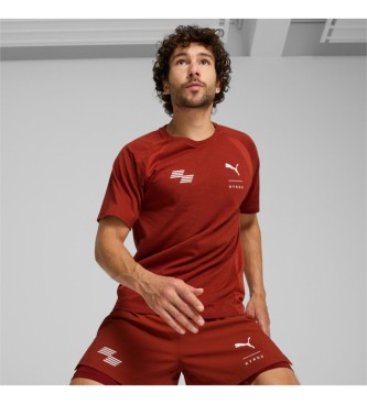 Puma Camiseta de training x HYROX Triblend granate