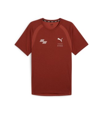 Puma Camiseta de training x HYROX Triblend granate