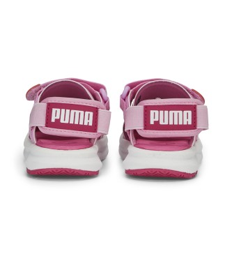 Puma Sandlias Evolve AC cor-de-rosa