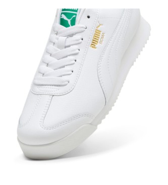 Puma Trenerzy Roma 24 Standard biały