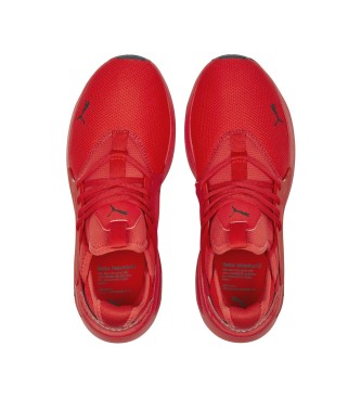 Puma Softride Enzo Evo Shoes red