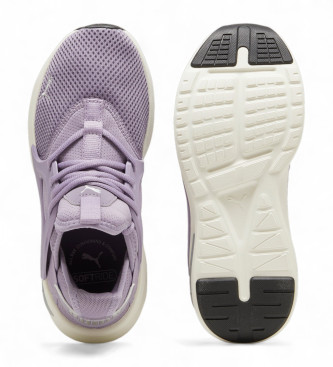 Puma Trainers Softride Enzo Evo purple