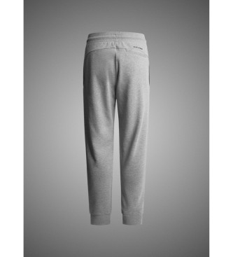 Red Bull Racing x Pepe Jeans Jogger Rbr Essential grey trousers