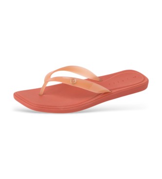 Reef Sand�lias Solaye coral