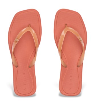 Reef Sand�lias Solaye coral