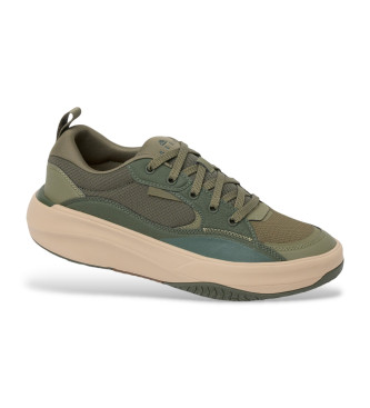 Reef ventail de baskets vertes