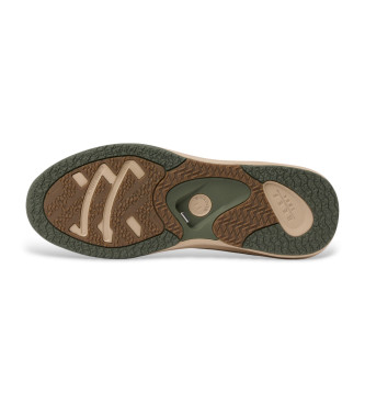 Reef ventail de baskets vertes