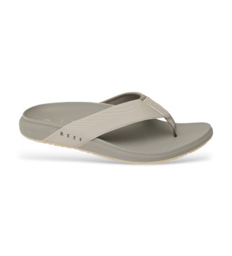 Reef Flip flops The Raglan taupe