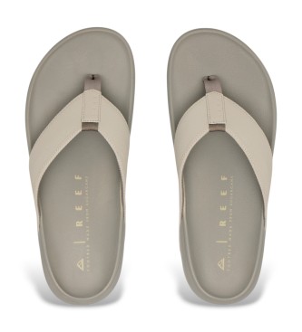 Reef Flip flops The Raglan taupe