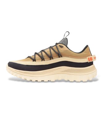 Sorel Chaussures Callsign Horizon Low GTX beige