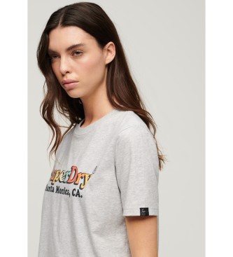 Superdry T-shirt com logtipo arco-ris cinzento
