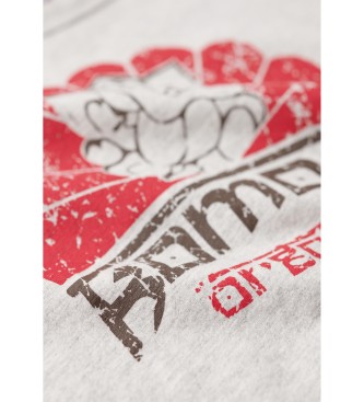Superdry Komodo Ganesh rmelloses T-shirt grau