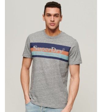 Superdry Vintage Venue T-shirt grey