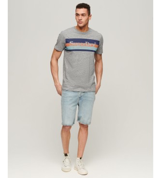 Superdry T-shirt vintage Venue grigia