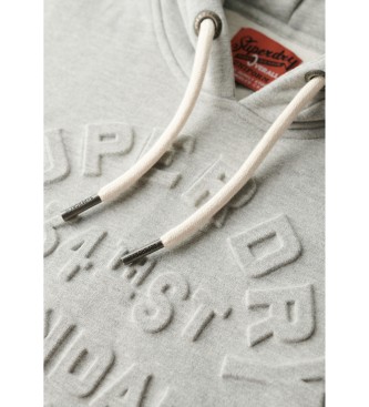 Superdry Grafisk sweatshirt med huva och prglad logotyp gr