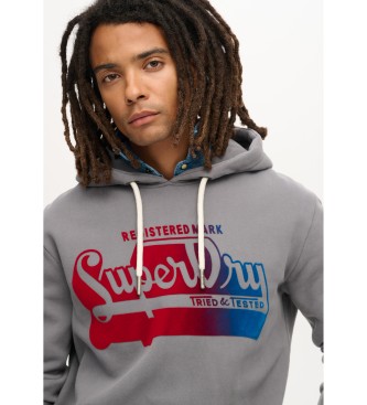 Superdry Beflockter Fade Grafik-Kapuzenpullover grau