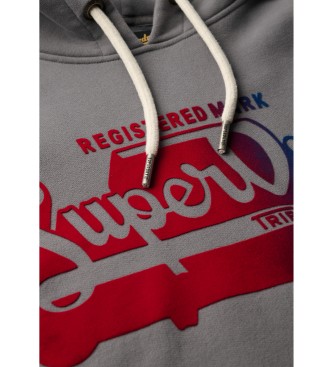 Superdry Beflockter Fade Grafik-Kapuzenpullover grau