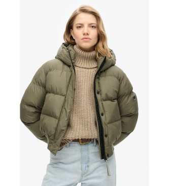 Superdry Blouson bombardier Vert sport