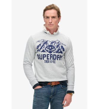 Superdry Felpa girocollo con grafica Lo-Fi Outdoors Grigia