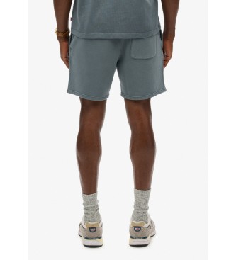 Superdry Micro Logo Shorts blue