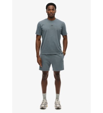 Superdry Micro Logo Shorts blue