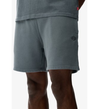 Superdry Micro Logo Shorts blue