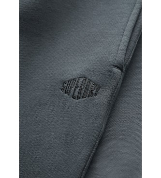 Superdry Micro Logo Shorts blue