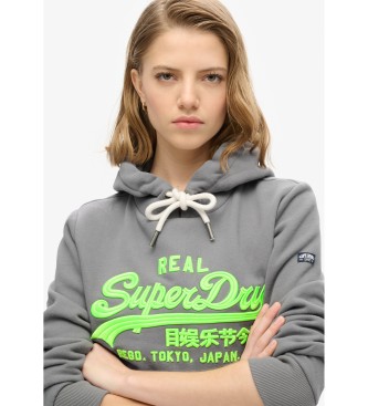 Superdry Sweatshirt Neon Vl grey