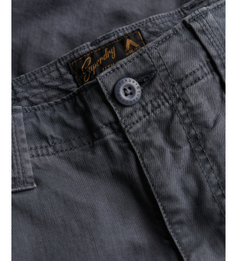 Superdry Shorts Core Cargo grey