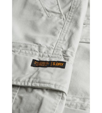Superdry Cargo-Shorts Schweres Grau