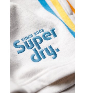 Superdry Shorts med Rainbow-logotyp och stripe i grtt