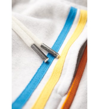 Superdry Shorts med Rainbow-logotyp och stripe i grtt