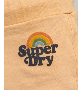 Superdry Rainbow shorts brun
