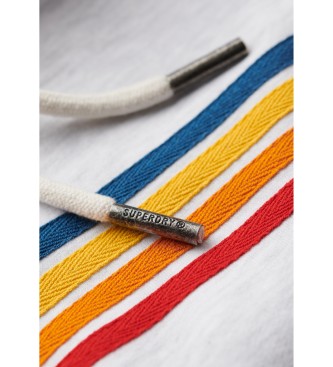Superdry Regenbogen Logo Sweatshirt grau
