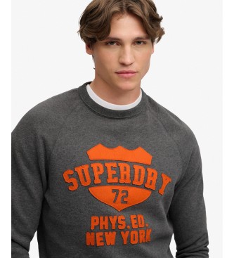 Superdry Grå Felt Applique Relaxed sweatshirt