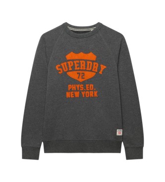 Superdry Grå Felt Applique Relaxed sweatshirt