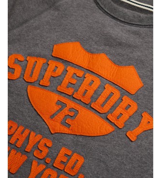 Superdry Grå Felt Applique Relaxed sweatshirt