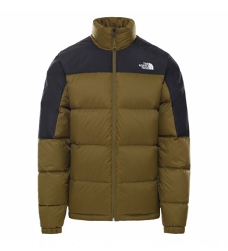 green north face down jacket
