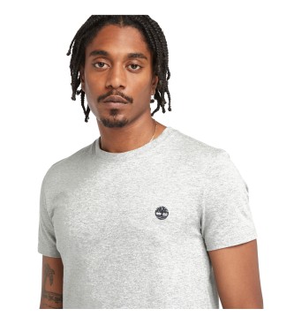 Timberland Dunstan River T-shirt grey